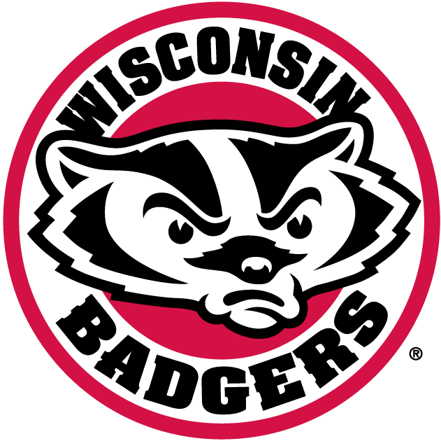 Wisconsin Badgers 2002-Pres Alternate Logo v2 DIY iron on transfer (heat transfer)